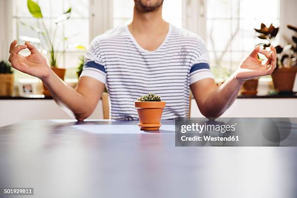 young man meditating over a small pot of a succulent - middle finger stock-fotos und bilder