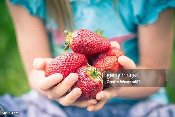 little girl holding handful of strawberries, partial view - kid middle finger stock-fotos und bilder