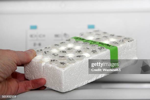 11 Labware Stock Photos, High-Res Pictures, and Images - Getty Images