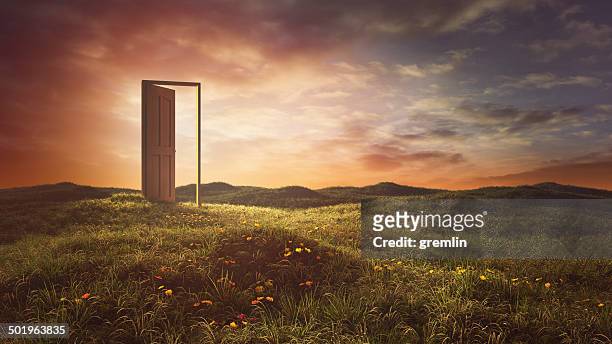 open doors on the summer meadow - open stock pictures, royalty-free photos & images