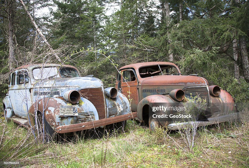 Classic old cars rot in a field