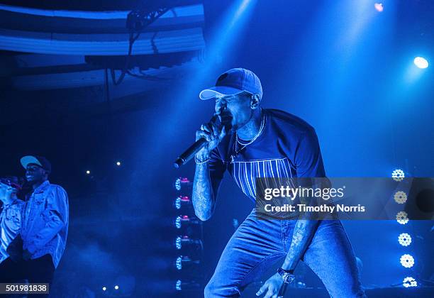 Chris Brown performs at Hollywood Palladium on December 18, 2015 in Los Angeles, California.
