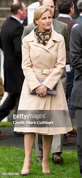 Sophie, Countess of Wessex attends the Christmas Racing Weekend at Ascot Racecourse on December 19, 2015 in Ascot, England.