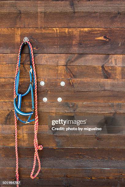 115 Rigging Harness Stock Photos, High-Res Pictures, and Images - Getty ...