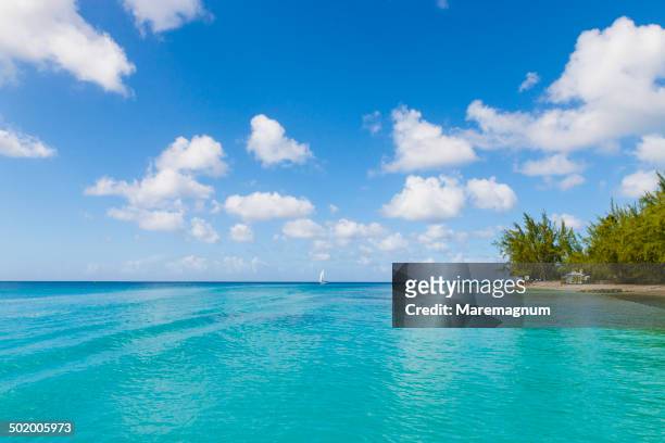 sandy lane beach - st james beach stock pictures, royalty-free photos & images