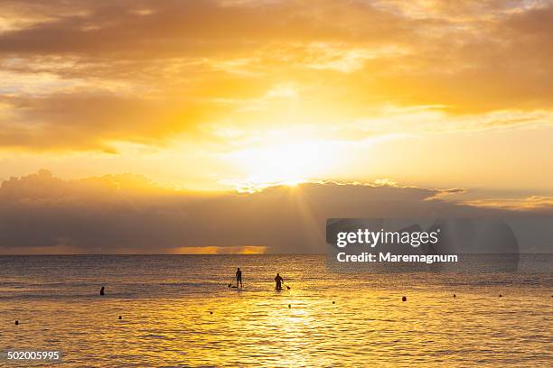 sandy lane beach at sunset - st james barbados stockfoto's en -beelden