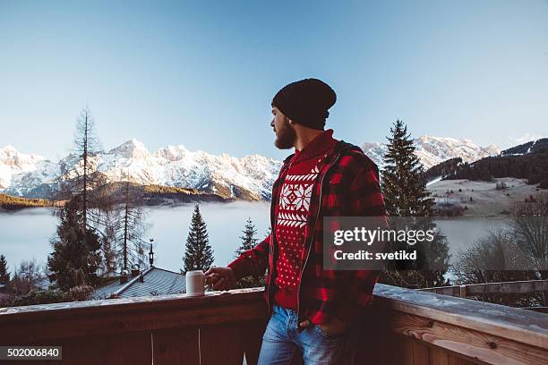 breathtaking view - österreich winter bildbanksfoton och bilder