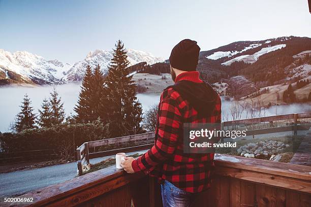 breathtaking view - back porch stockfoto's en -beelden