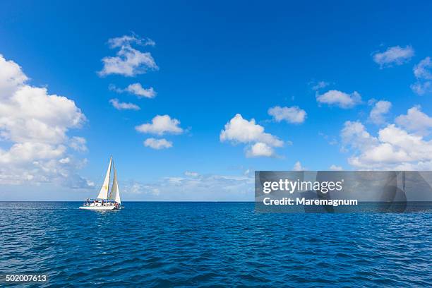 sandy lane beach, a boat in the sea - st james barbados stockfoto's en -beelden