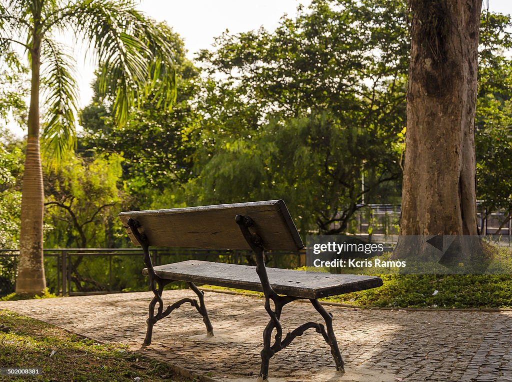 Wooden park bench with trees and plants