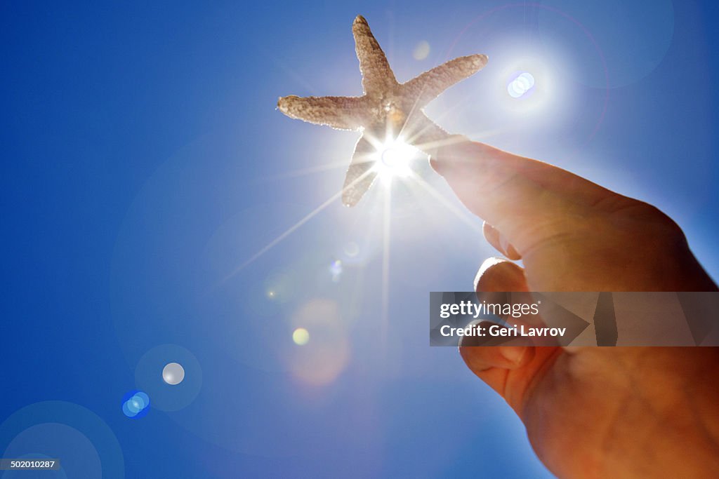 Person holding a starfish against a blue sky
