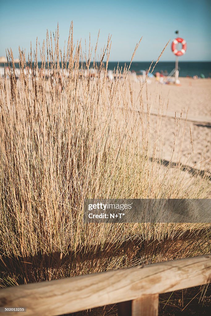 Beach entrance