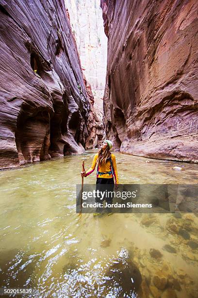 hiking a slot canyon filled with water. - estrechos de zion fotografías e imágenes de stock