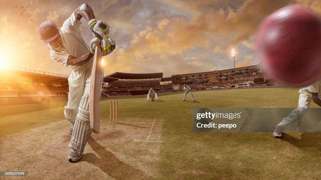 Cricket Action