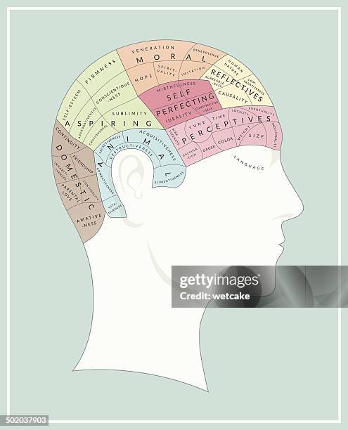 phrenology - phrenologie stock-grafiken, -clipart, -cartoons und -symbole