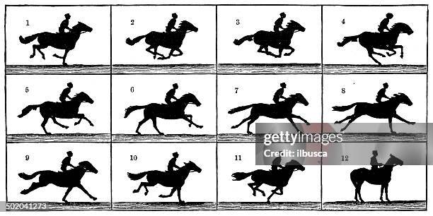 illustrations, cliparts, dessins animés et icônes de ancienne illustration de cheval en mouvement - série séquentielle