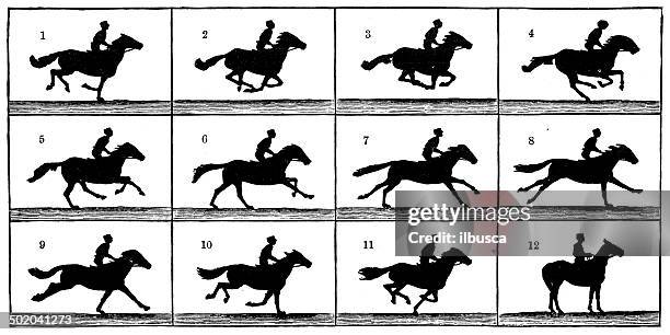 9 459点のコマ撮りイラスト素材 Getty Images 9 459点のコマ撮りイラスト素材 Getty Images