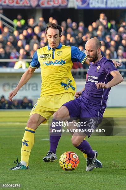 Fiorentina's midfielder from Spain Borja Valero vies with Chievo's defender from Italy Dario Dainelli during the Italian Serie A football match...