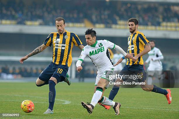 Evangelos Moras and Matteo Bianchetti of Hellas Verona competes with Sergio Floccari of US Sassuolo during the Serie A match between Hellas Verona FC...