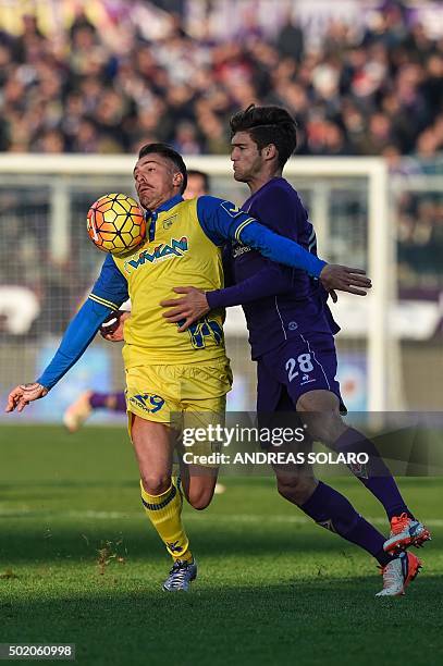 Chievo's defender from Italy Fabrizio Cacciatore fights for the ball with Fiorentina's defender from Spain Marcos Alonso Mendoza during the Italian...