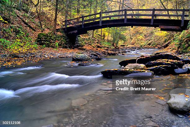 footbridge over stream, fillmore glen state park, moravia ny usa - moravia stock pictures, royalty-free photos & images
