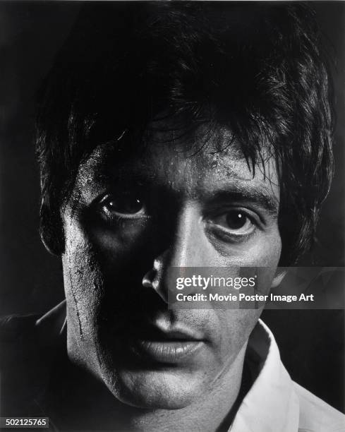 45 Al Pacino 1980 Stock Photos, High-Res Pictures, and Images - Getty