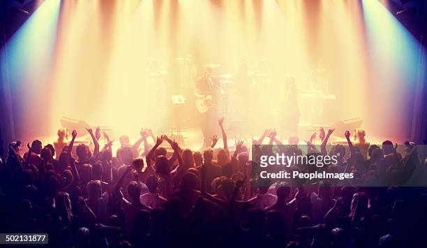 packed with devoted fans - concert hall stock pictures, royalty-free photos & images