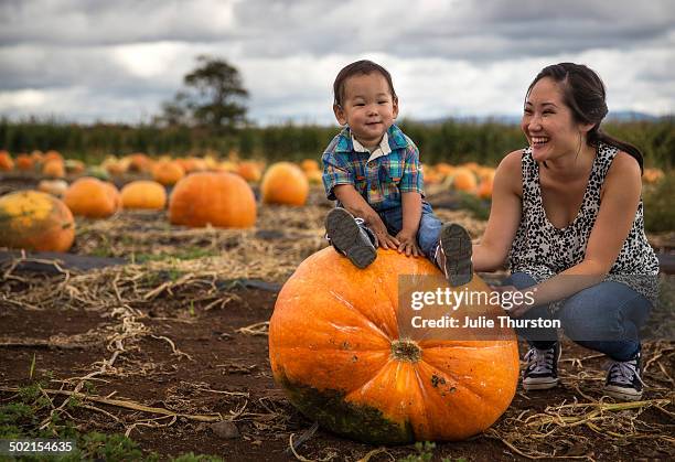 smiling cute boy and mom at pumpkin patch - hawaii hemd stock-fotos und bilder