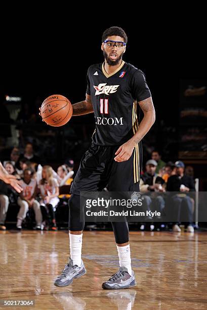 Devyn Marble of the Erie BayHawks controls the ball against the Canton Charge at the Canton Memorial Civic Center on December 19, 2015 in Canton,...