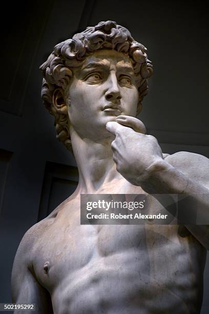 David Image Michelangelo Statue Of David Photos and Premium High Res Pictures ...