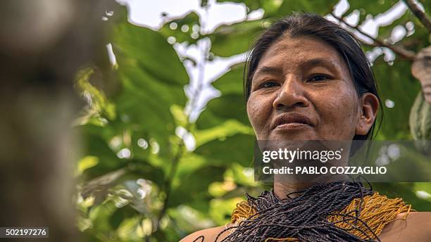 Waorani indigenous woman looks on in Gareno, 175 km southeast of Quito, Ecuador on December 7, 2015. Three Amazonian ethnic groups of Ecuador, Brazil...