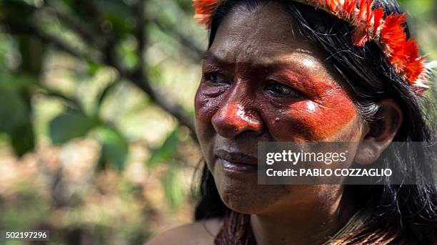 Waorani indigenous woman stands next to a cacao tree in Gareno, 175 km southeast of Quito, Ecuador on December 7, 2015. Three Amazonian ethnic groups...
