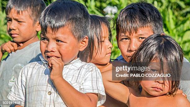 Waorani indigenous children are seen in Gareno, 175 km southeast of Quito, Ecuador on December 7, 2015. Three Amazonian ethnic groups of Ecuador,...