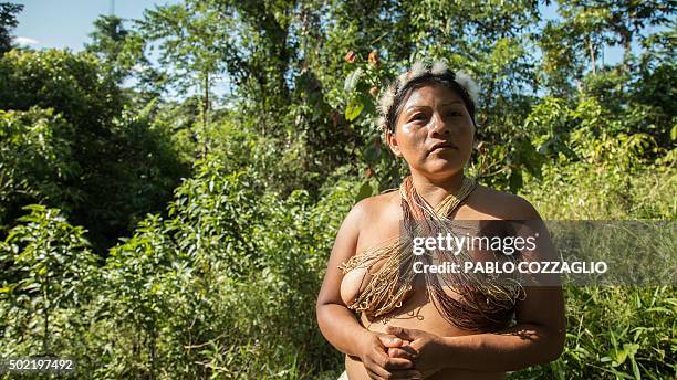 Waorani indigenous woman is seen in Gareno, 175 km southeast of Quito, Ecuador on December 7, 2015. Three Amazonian ethnic groups of Ecuador, Brazil...