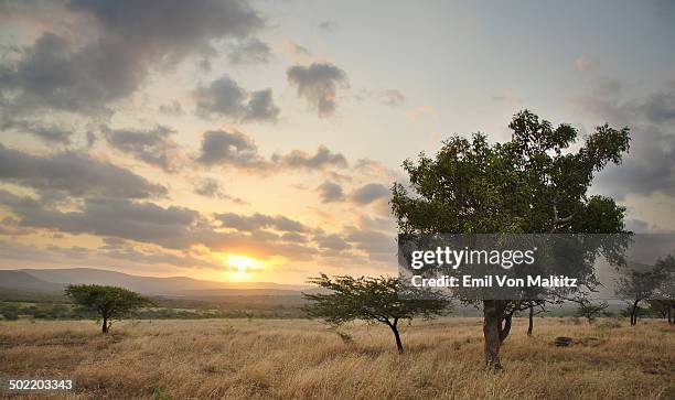 a setting sun amongst clounds and a moody sky. - safari lodge stock pictures, royalty-free photos & images