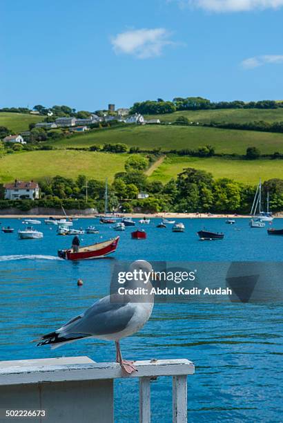 summer time in salcombe - abdul kadir audah stock pictures, royalty-free photos & images