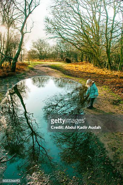 a little girl playing in the winter woods - abdul kadir audah stock pictures, royalty-free photos & images