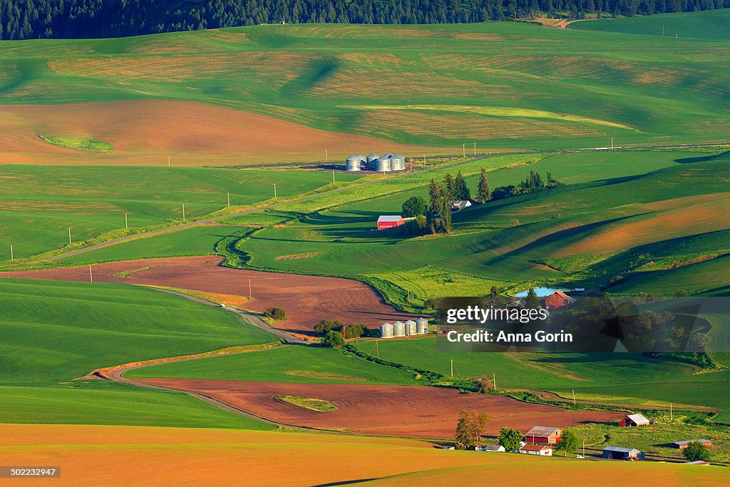 Palouse farmland from Steptoe Butte
