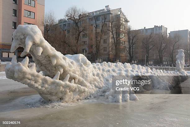 Picture shows a 14-meter-long crocodile snow sculpture on ice in a park on December 22, 2015 in Jilin City, Jilin Province of China. 62-year-old...