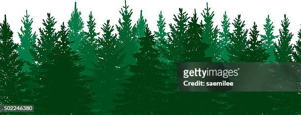 シームレスな松の森の背景 - 常緑樹点のイラスト素材／クリップアート素材／マンガ素材／アイコン素材