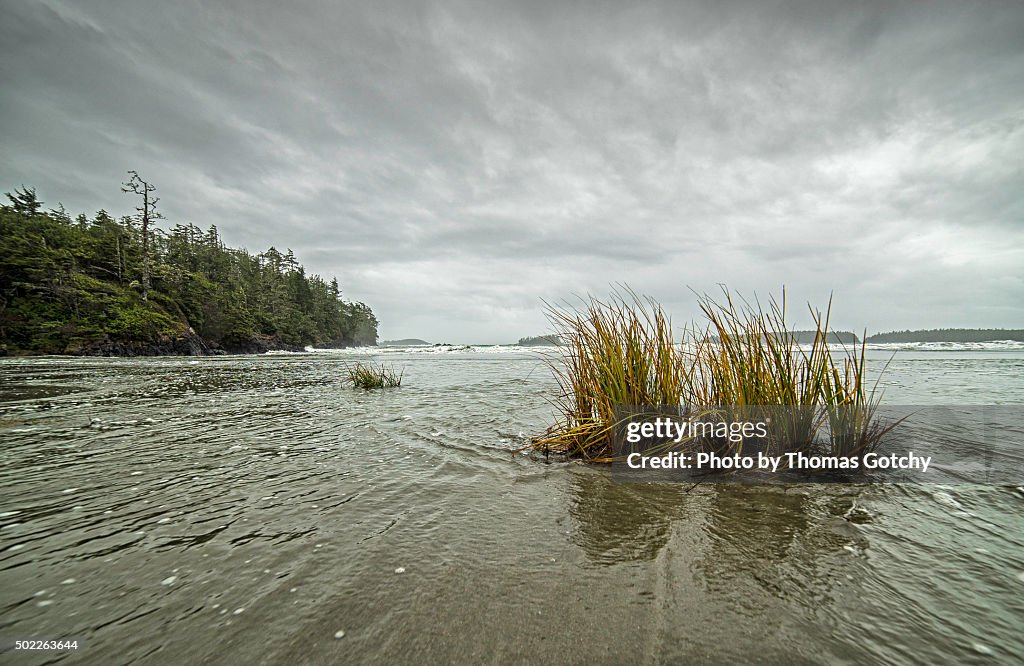 Middle Beach, Tofino, Vancouver Island, British Columbia, Canada