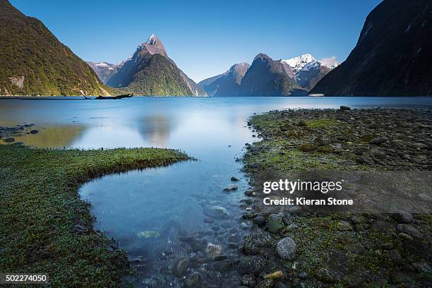 milford sound - westland stock-fotos und bilder