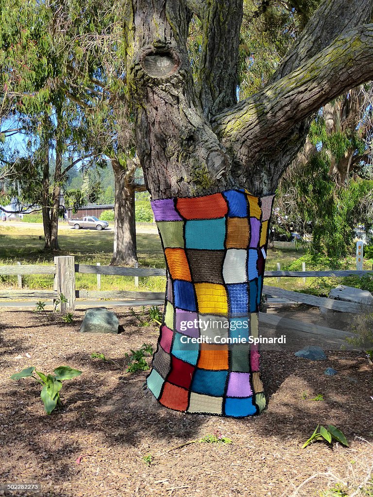 Yarn Bombing