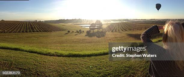 Balloon over vineyards at sunrise, Hunter Valley, NSW, Australia