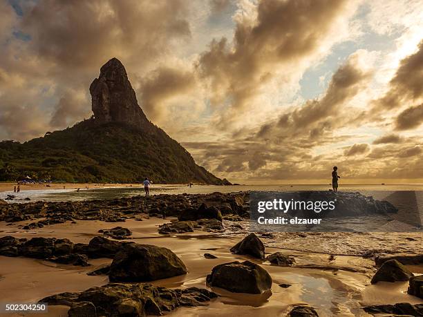 fernando de noronha - naturalist beach stock pictures, royalty-free photos & images