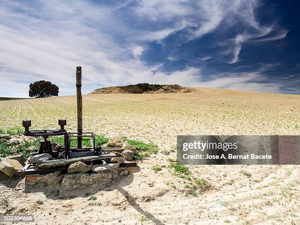 field sowed with small green plants and a well khan manual ancient machinery. - ancient plow stock pictures, royalty-free photos & images