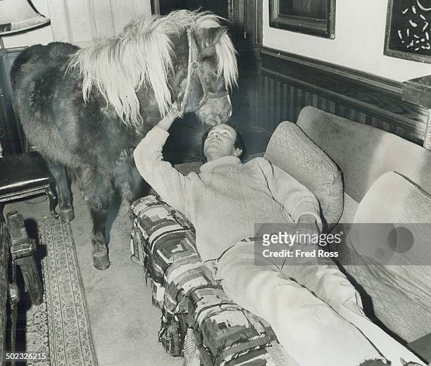 Shetland pony in out of the cold. Norman Elder's guest in his Bedford Rd. Home is a Shetland pony; brought in from the Aurora family farm to appear...