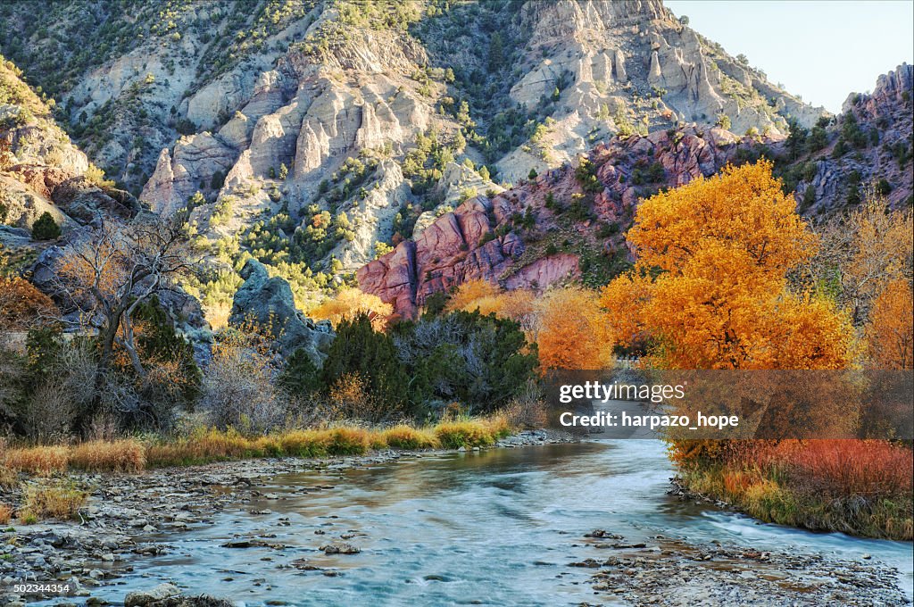 Autumn Leaves and Seveir River