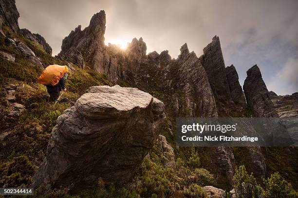 male hiker with a backpack hiking amongst cliffs and pinnacles, western arthur range, south west national park, tasmania, australia - steep stock pictures, royalty-free photos & images