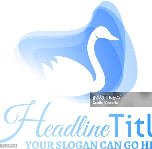 ilustraciones, imágenes clip art, dibujos animados e iconos de stock de cisne - cisne blanco común